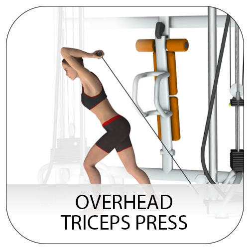 Overhead triceps curl